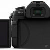 Panasonic Lumix G85 Mirrorless Camera with 12-60mm Lens