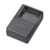 Panasonic DMW-BLG10 Li-Ion Battery & Charger Travel Bundle