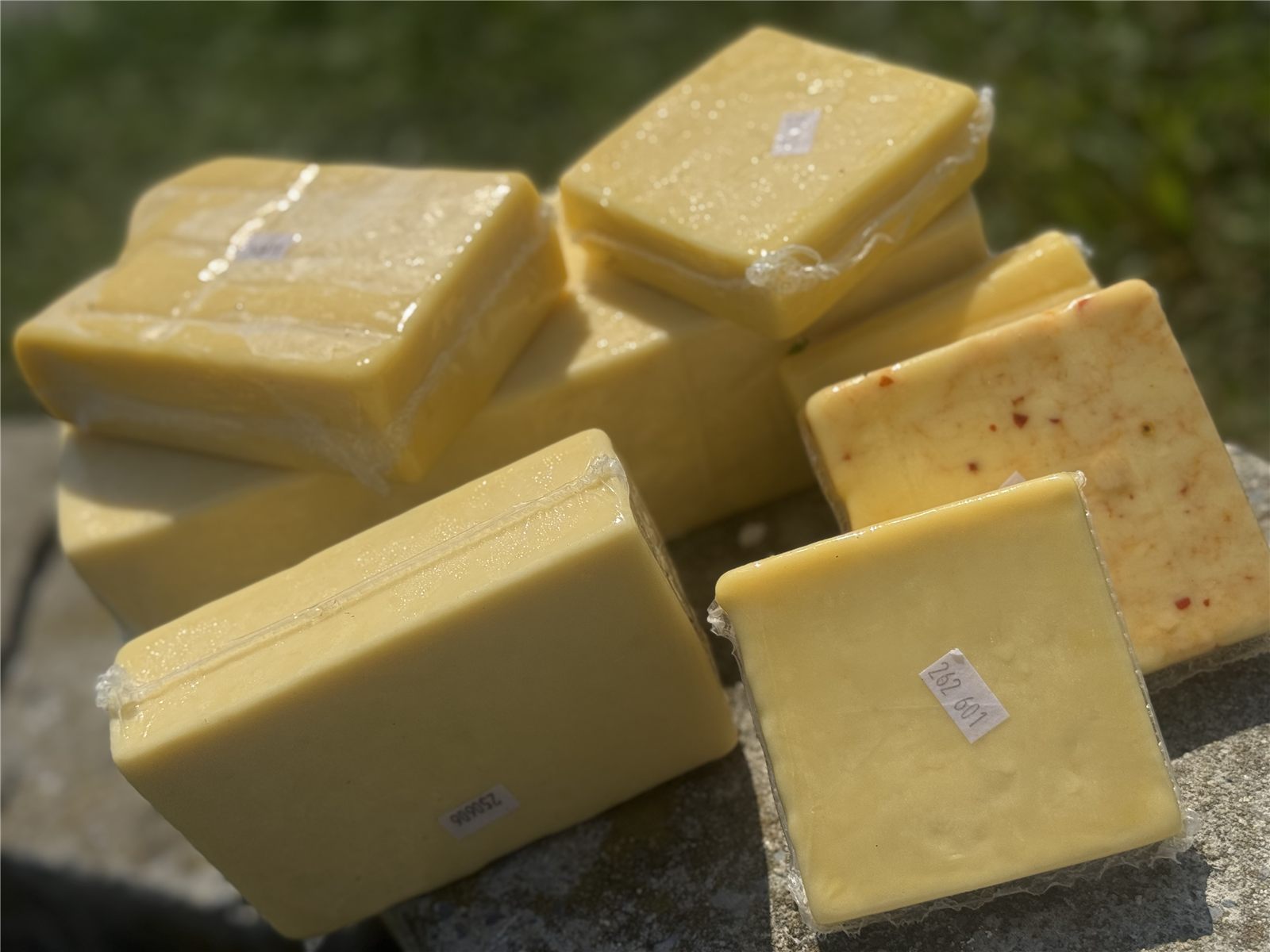 Raw Cheese – Colby