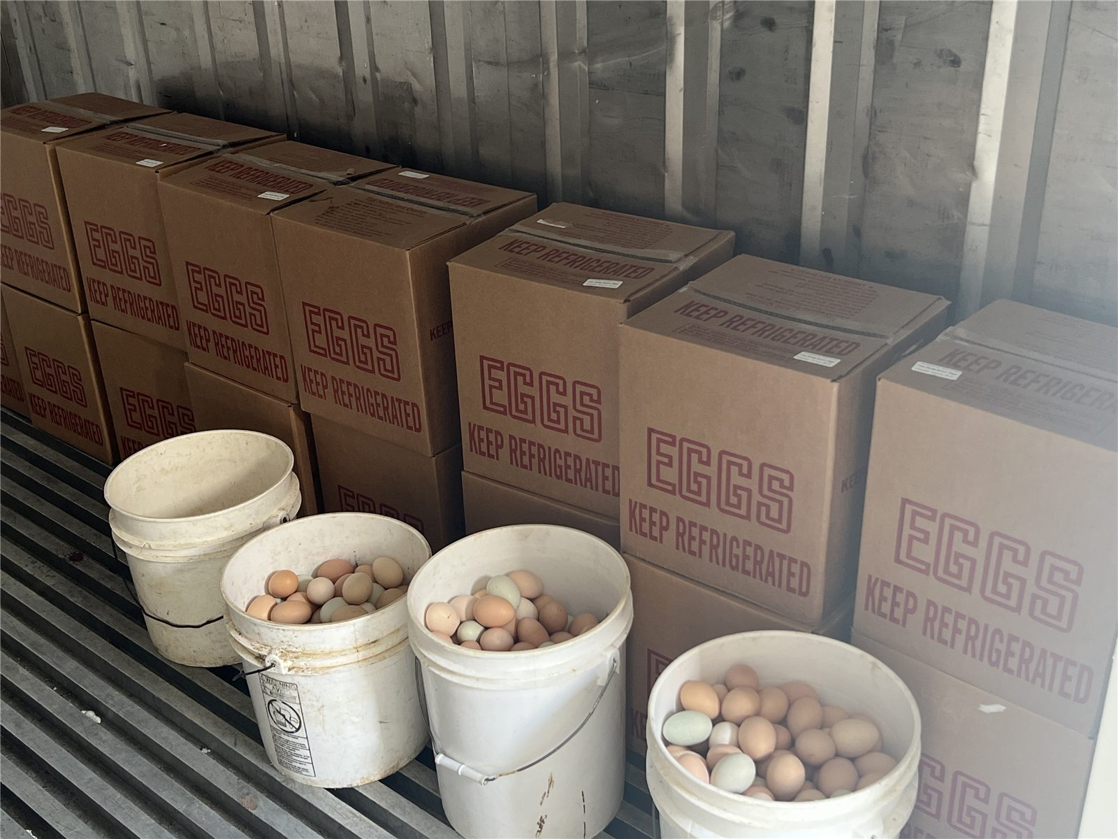 Pastured Brown Eggs