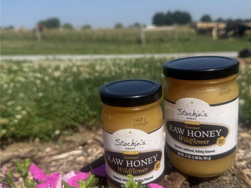 Raw Local Mountain Wildflower Honey – 8 oz