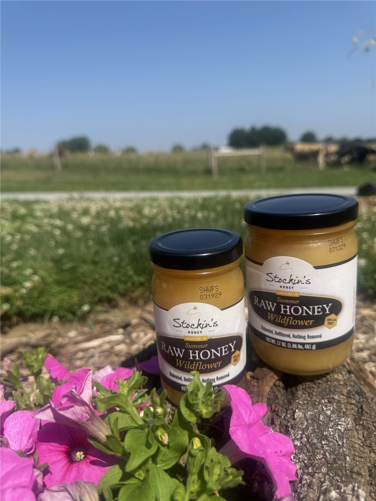Raw Local Mountain Wildflower Honey – 8 oz