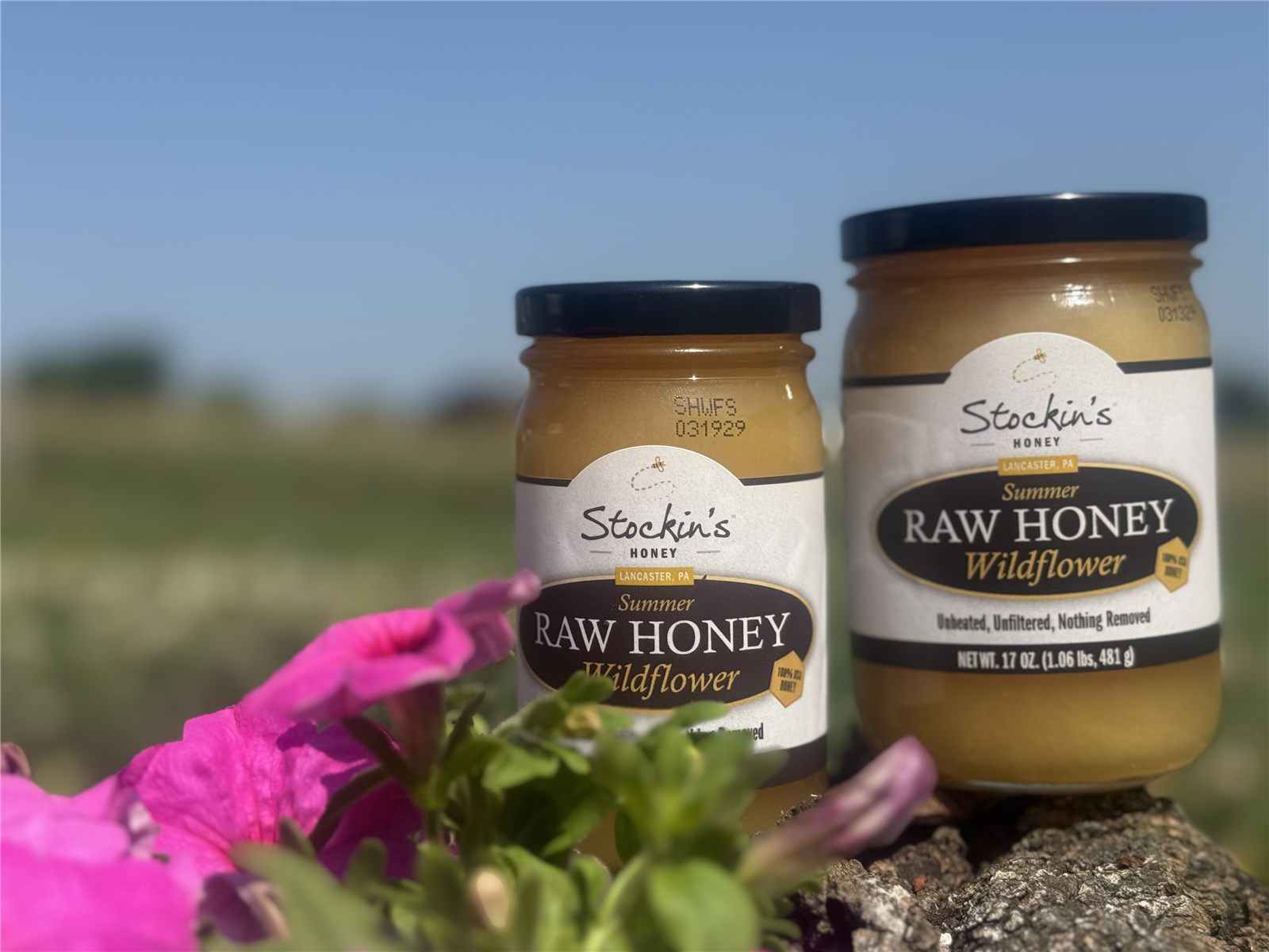 Local Raw Honey – 12 oz bear