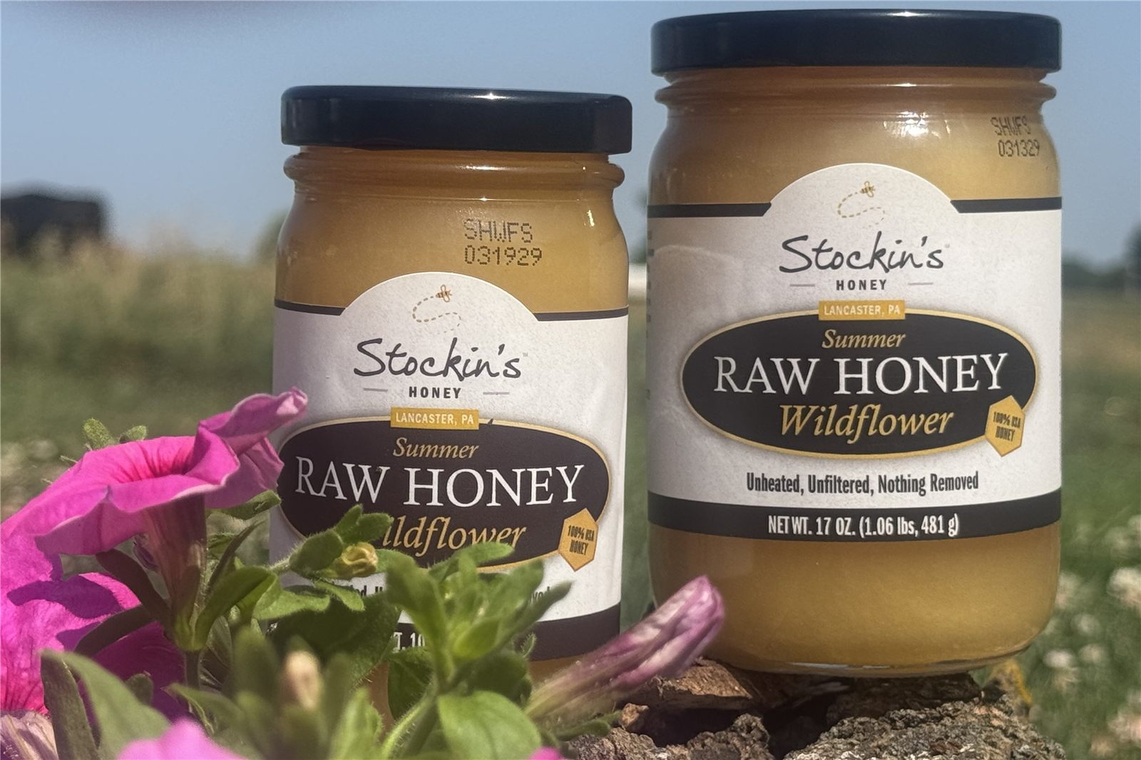 Raw Local Mountain Wildflower Honey – 1 lb