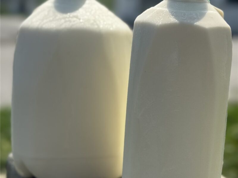 Raw A2/A2 Grass-fed Milk – gallon