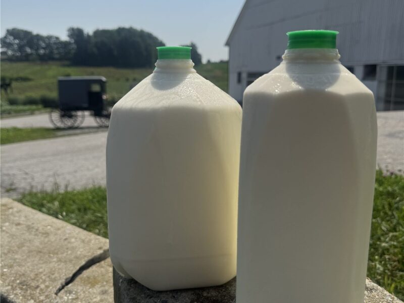 Raw A2/A2 milk in half gallon jugs