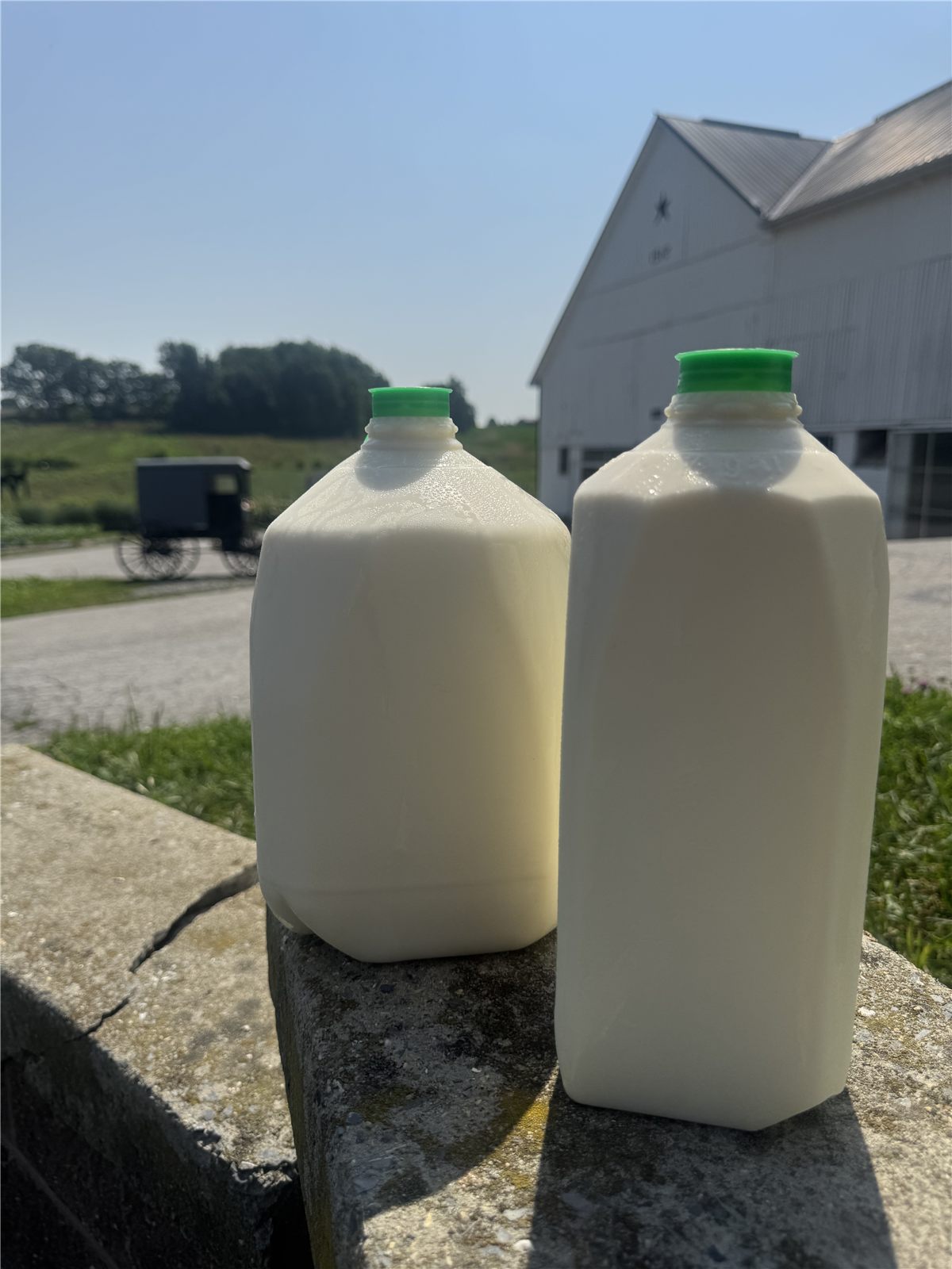 Raw A2/A2 milk in half gallon jugs